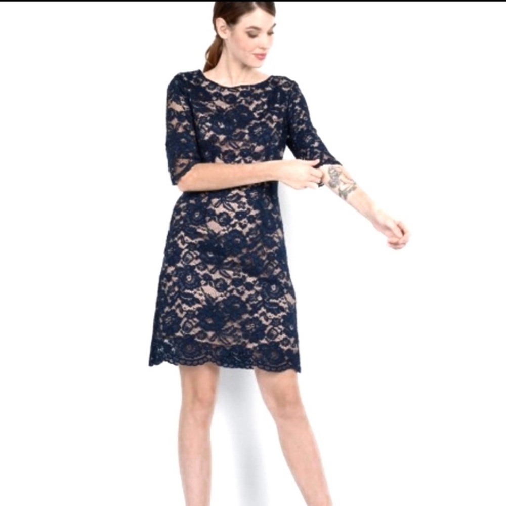 Molly Bracken Short Lace Sheath Dress Blue…